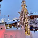 Lammensyli Рука