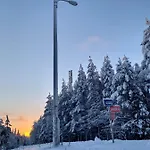 Lammensyli Рука