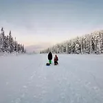 Lammensyli * Рука