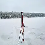 Апартаменты Lammensyli *