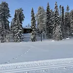 Апартаменты Lammensyli Рука