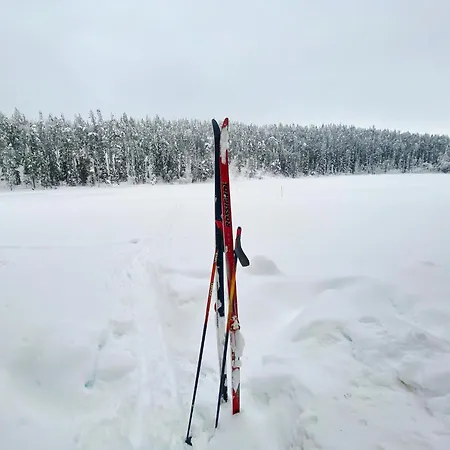 Appartement Lammensyli *