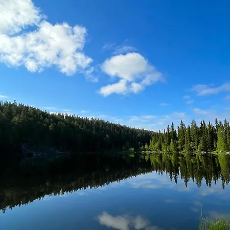 Appartement Lammensyli *