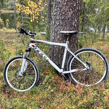 Lammensyli Appartement *