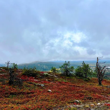 Lammensyli Appartement